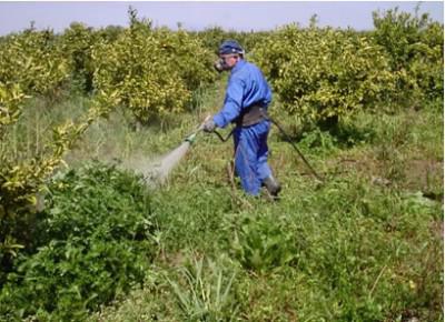 Herbiciden voor de vernietiging van onkruid: variëteiten en werkingsmechanismen