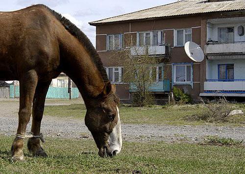 Verbind het internet in het dorp