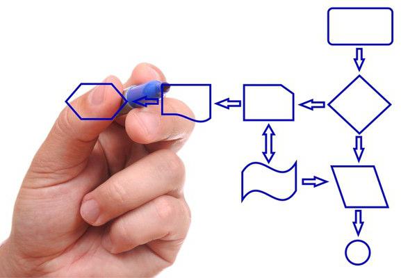 grondslagen van managementprocessen