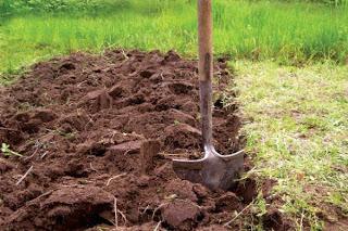 Bepaal de dichtheid van de grond in uw tuin