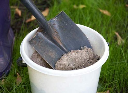 Topdressing van tomaten voor een betere ontwikkeling van zaailingen