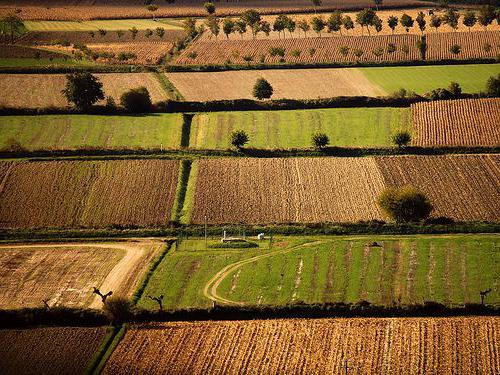 Landbouw van Italië