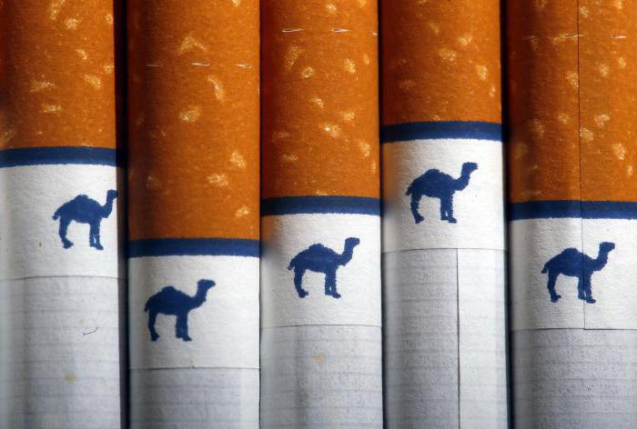 Cigarette Camel in Rusland