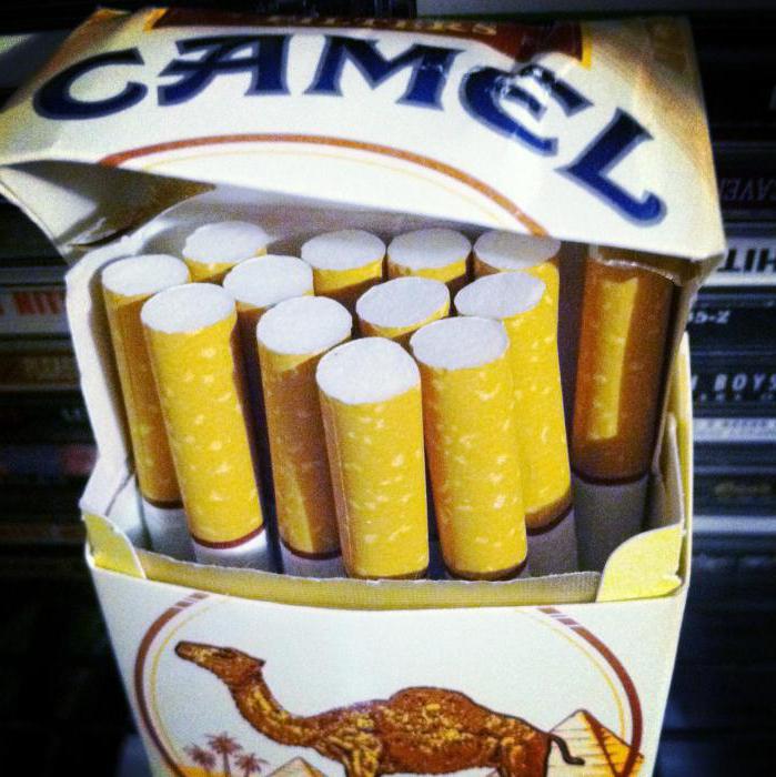 Cigarette Camel-typen