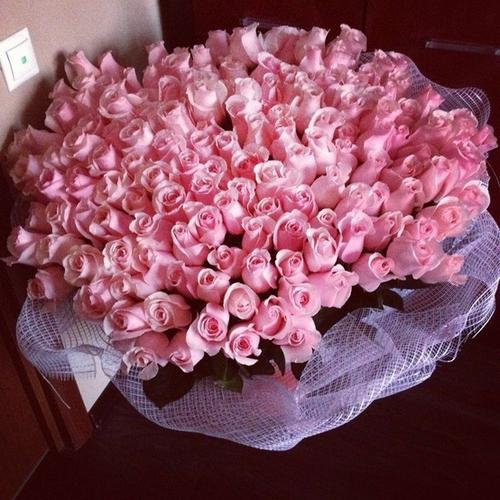 Een enorm boeket rozen - een chique geschenk voor geliefden!