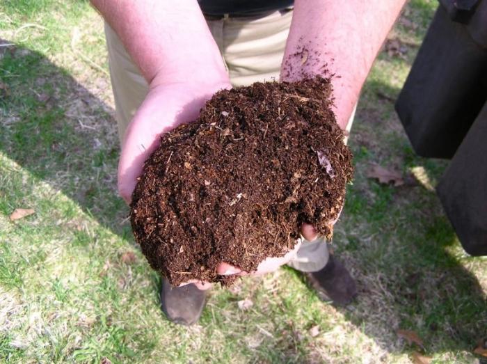 topdressing van fruitbomen in de herfst