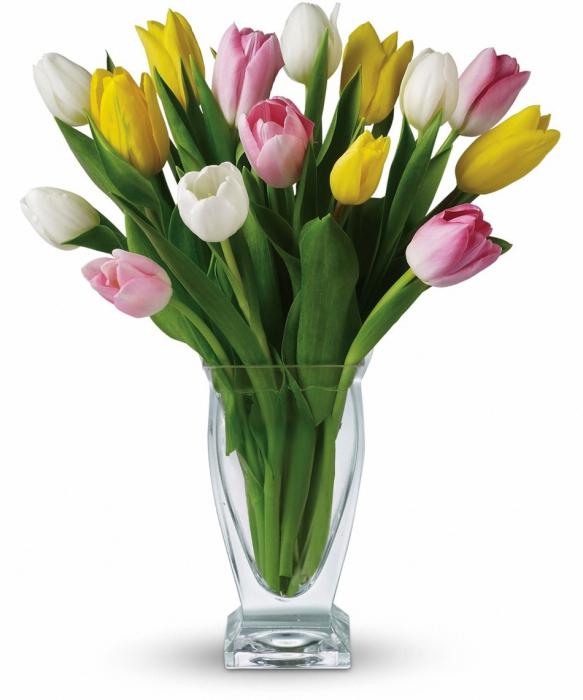 tulpen voor hoe lang ze staan