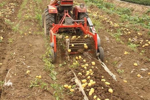 aardappelrooier zelfgemaakt