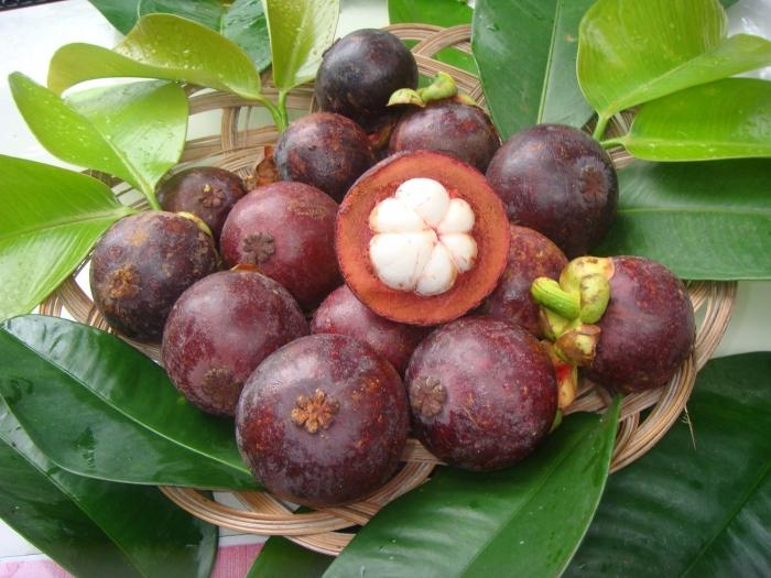 Mangosteen is een fruit-antioxidant