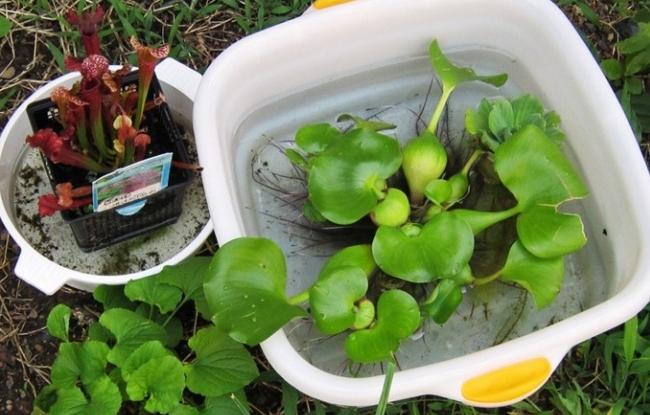 Ik heb de tuin zelf geplant of een turftablet gebruikt