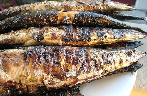 Verschillende manieren om vis te bereiden: makreel op een grill, in de oven, in een koekenpan