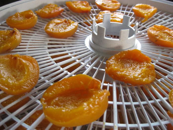 hoe je gedroogde abrikozen thuis kunt maken 