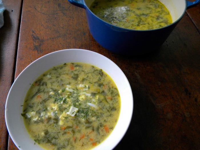 borsch met zuring en ei in het multivark 