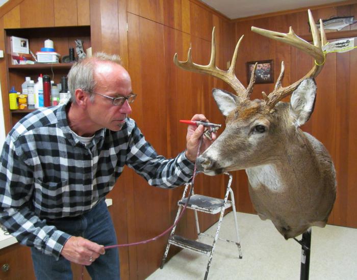 Taxidermist is een specialist in het exotische beroep