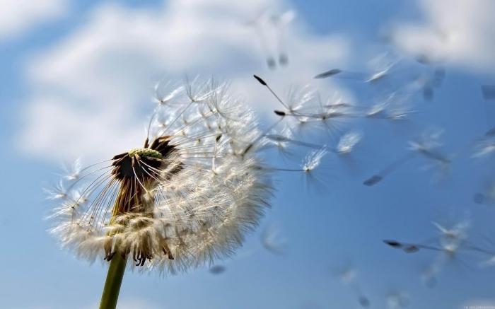 Een analyse van het gedicht "Wind" van Balmont, een voorbeeld van symbolische teksten