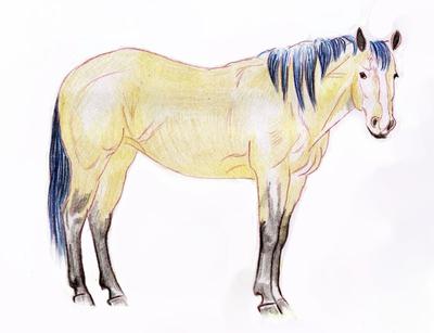 Hoe een paard te tekenen met een eenvoudig potlood
