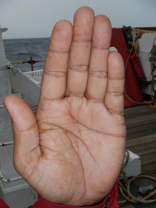 Hoe lang en waarom groeien mannen hun nagels op kleine vingers