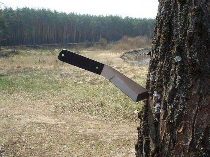 Knife Kochergina: beoordelingen