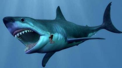 De oudste haai ter wereld - megalodon