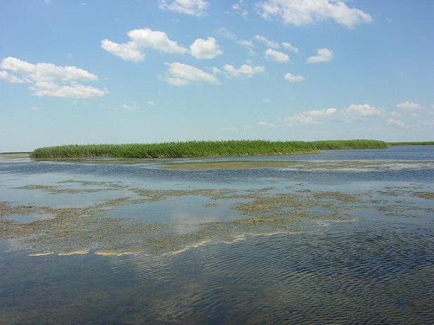 Dagestan Reserve in Rusland