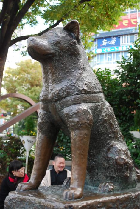 Waar is het monument van Hachiko