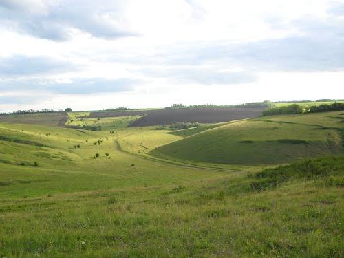 Verscheidenheid van de natuur van de regio Voronezh