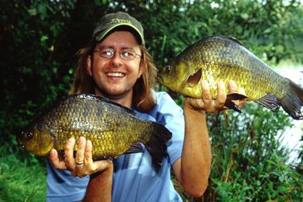 variëteiten van aquariumvissen