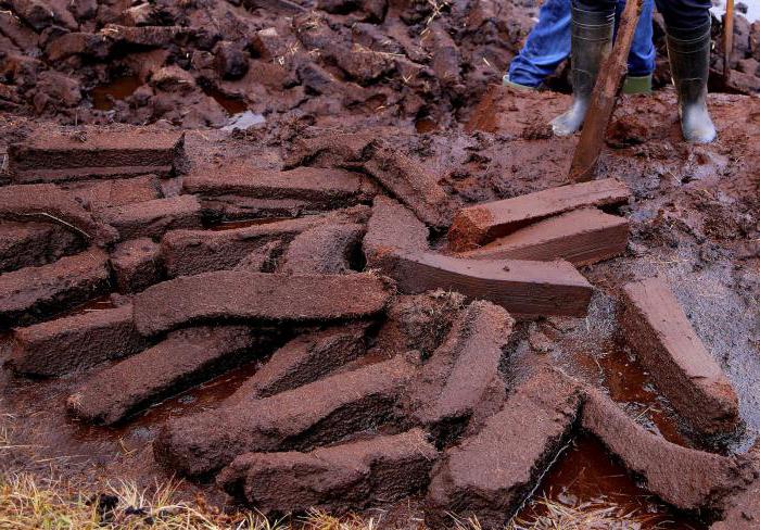 wat zijn de mineralen in de regio Volgograd