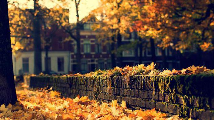 Minisamenstelling: 5 zinnen over de herfst