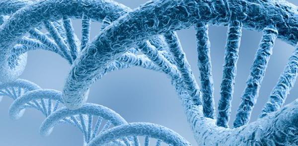  populatie-statistische methode voor het bestuderen van menselijke genetica