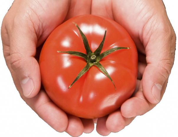 Siberische selectie van tomaten 