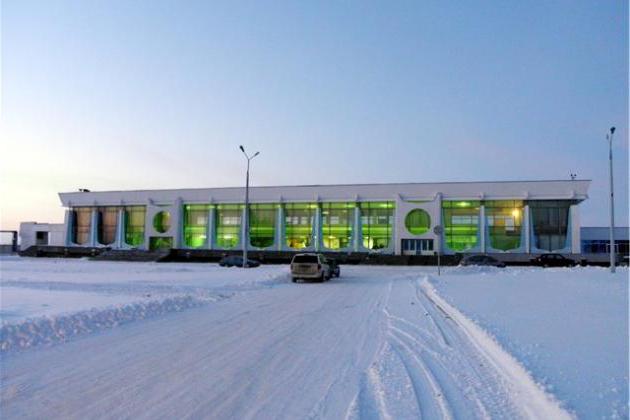 Gomel Airport: locatie en functies