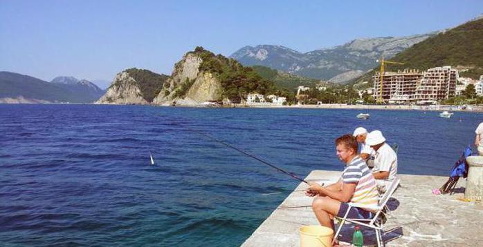 vissen in Montenegro