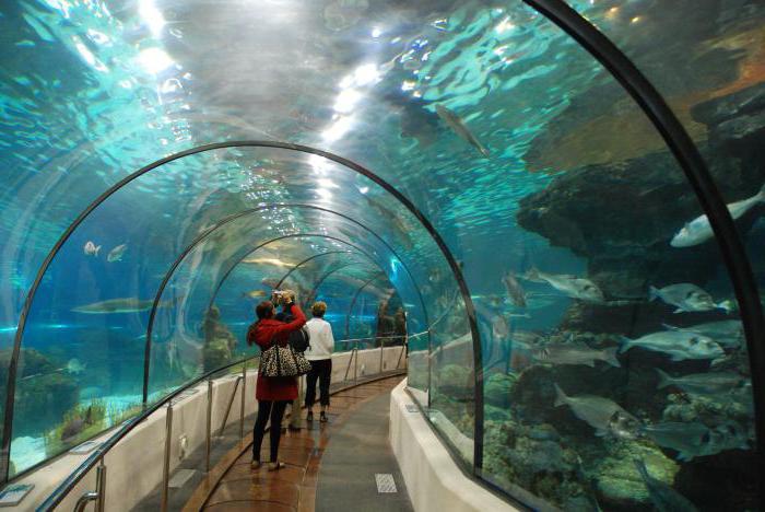 aquarium in barcelona