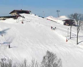 berg skiën in de buitenwijken van de wijnstok