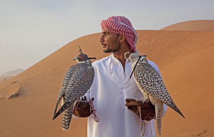 vakantie in de Arabische Emiraten in maart 