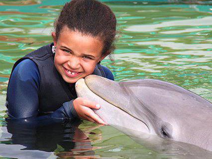 Dolfinarium Eysk beoordelingen 