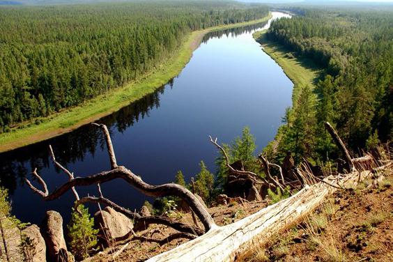 een rivier van steenachtige Tunguska