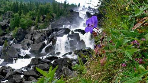 watervalkranen op de Altai