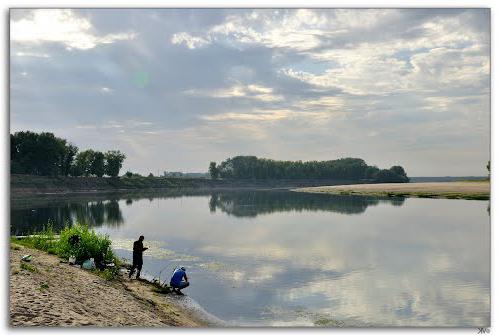 Vissen in de regio Volgograd