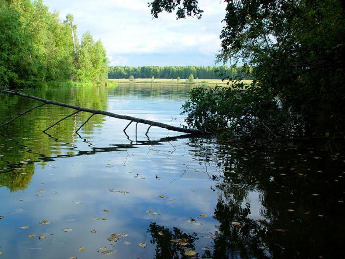 Verkhnoruzskoe-reservoir: beschrijving, vissen en foto's