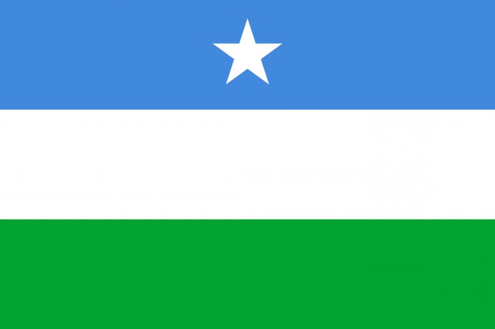 Vlag van Somalië: geschiedenis en beschrijving