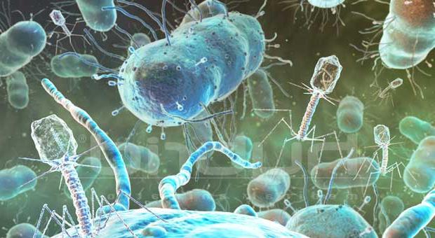 Bacteriofagen zijn ... of een paar woorden over virologie
