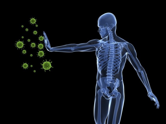 Begrijp wat immuniteit en het immuunsysteem is